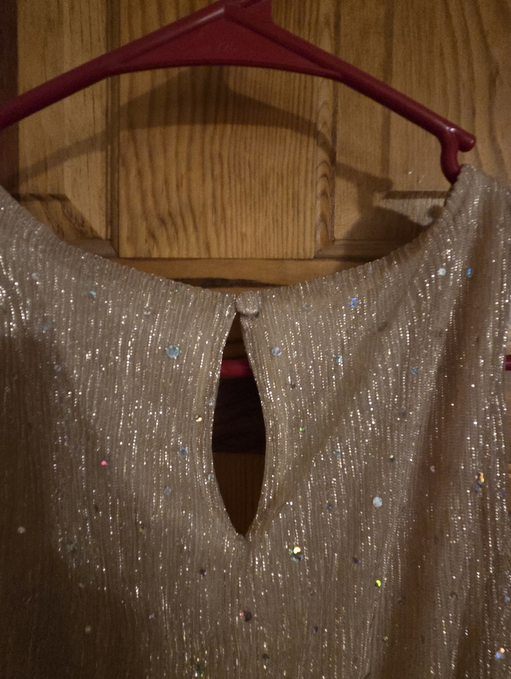 Baltic Born NWT Helen Sparkle Tank Gown- Champagne - Picture 5 of 7